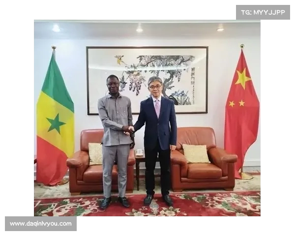 帕尔马签下塞内加尔中卫恩迪亚耶 加强防线实力提升